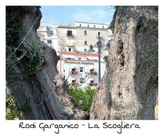 Hotel La Scogliera Rodi Garganico Zewnętrze zdjęcie